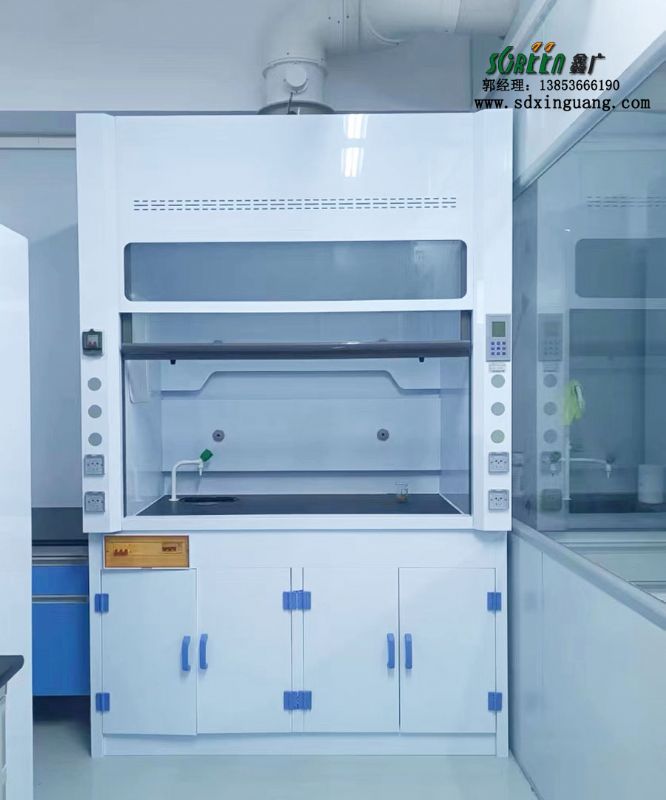 山東實驗室家具pp通風(fēng)柜化驗室排風(fēng)柜耐酸堿