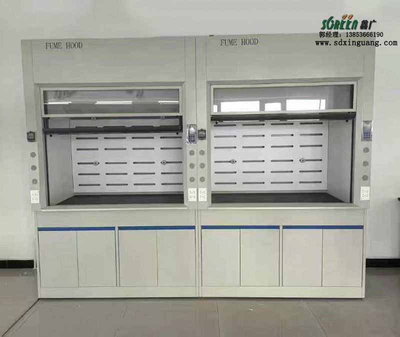 山東實驗室家具通風(fēng)柜廠家全鋼pp通風(fēng)櫥供應(yīng)
