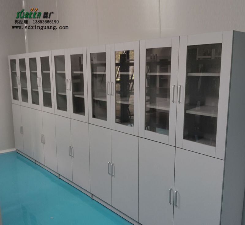 山東實驗臺廠家耐酸堿藥品柜實驗室試劑柜供應(yīng)