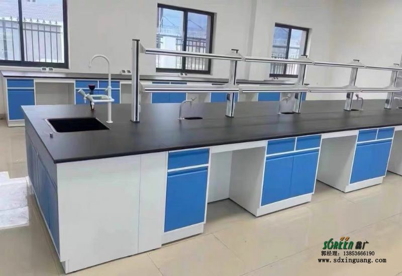 濰坊實(shí)驗(yàn)室設(shè)備實(shí)驗(yàn)室操作臺(tái)全鋼實(shí)驗(yàn)臺(tái)廠(chǎng)家
