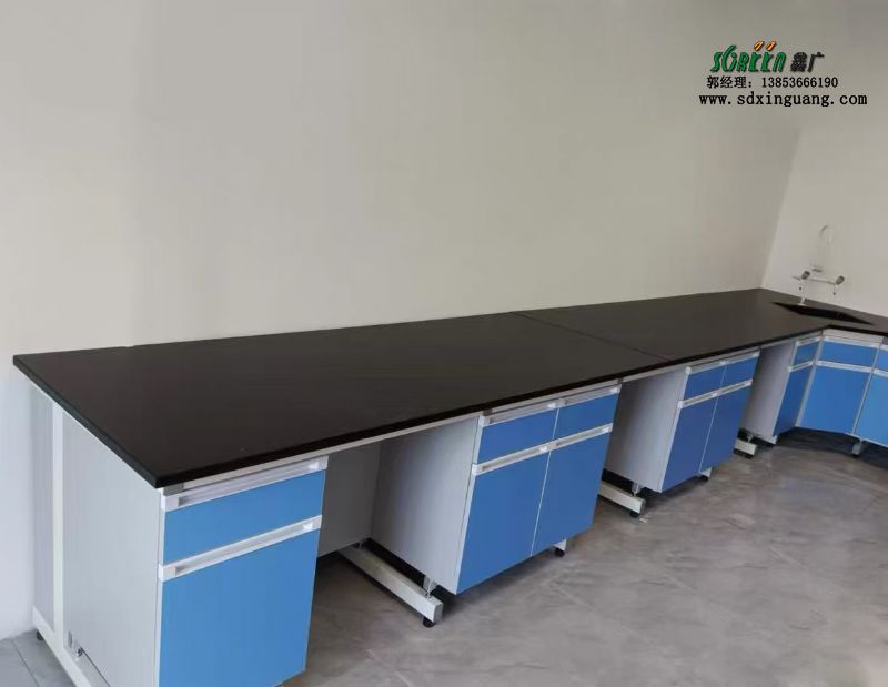 實驗室建設(shè)