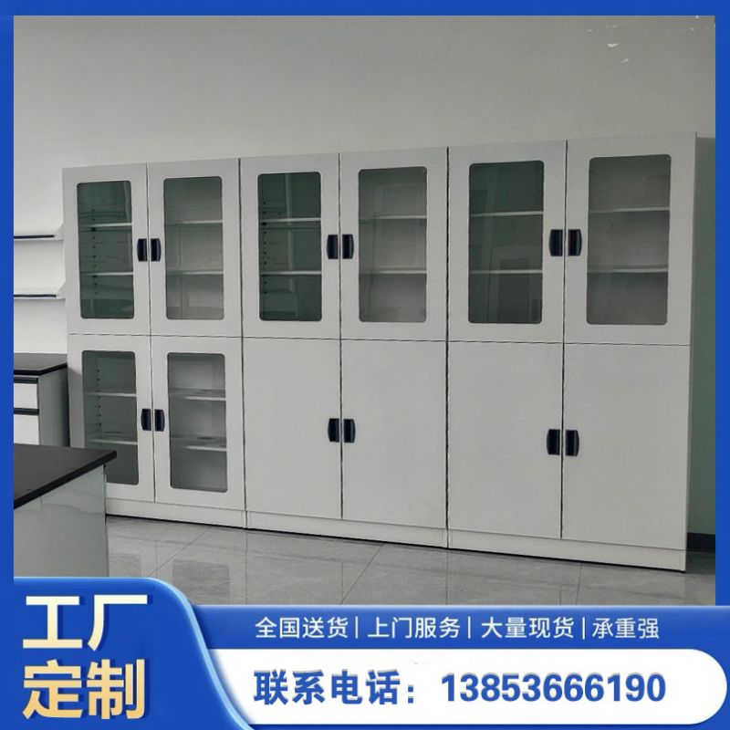 山東實(shí)驗(yàn)室設(shè)備實(shí)驗(yàn)室器皿柜 化驗(yàn)室試劑柜